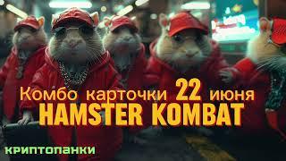 Какие комбо-карты Hamster Kombat на 22-23 июня? Все 3 карточки открыты!