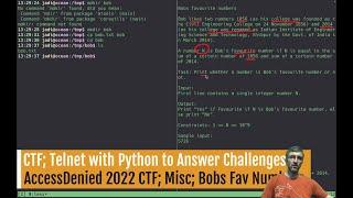 CTF For beginners: Telnet with Python to answer some questions about Bob's Favorite Number