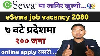 esewa job vacancy 2080 | esewa job vacancy | job vacancy in nepal | lbsmartguru