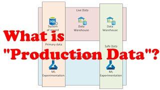 What is "Production Data"?
