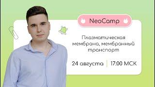 NeoCamp | Мембрана | ЕГЭ 2024