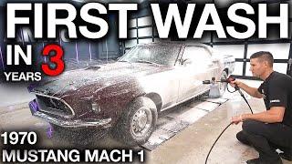 First Wash in 3 Years 1970 Ford Mustang Mach 1