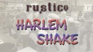 Harlem Shake at Rustio Leather Office