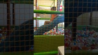 Mandi bola anak - anak lucu nya