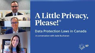 Data protection laws in Canada | A Little Privacy, Please! | Nixon Peabody LLP