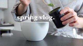 Study life in Germany｜all about spring vibes ｜matcha addicted｜Uni Freiburg｜living alone