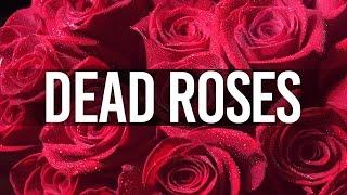 LOVE RAP BEAT - Romantic Love Rap Beat - Dead Roses (Prod. INS Beats)