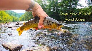Fly Fishing the SAVAGE River & North Branch Potomac (Western MD)