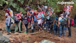 La selva del Darién: un infierno para las personas migrantes