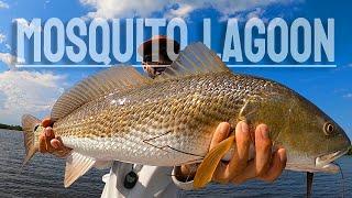 Sight Casting Reds: Mosquito Lagoon