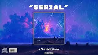 *FREE* Guitar Loop Kit / Sample Pack  "Serial"