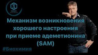 Механизм возникновения хорошего настроения при приеме адеметионина (SAM).