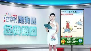 第061期 --【新澳门跑狗图】白小姐解图，助你轻松中奖！#新澳门六合彩 #澳门六合彩 #香港六合彩 #六合彩 #跑狗图 #六合图纸视频解料 #白小姐 #澳门 #香港 #经典解图 #marksix