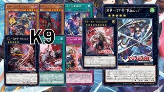 [NEW] K9 deck Mar.2025 | Testing new Archetype