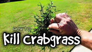 Best Time To Kill Crabgrass ~ What To Use And Why