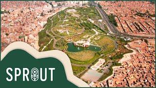 Al Azhar Park: Egypt's Urban Oasis | Garden Design