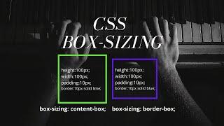 Box sizing border box vs content box What is border box vs content box?