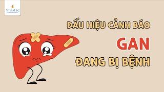 Những dấu hiệu gan có vấn đề