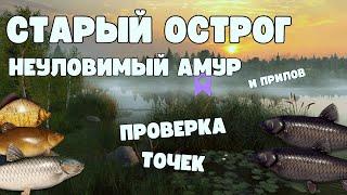 АМУР ЧЁРНЫЙ | ПРОВЕРКА ТОЧЕК | РУССКАЯ РЫБАЛКА 4 | РР4