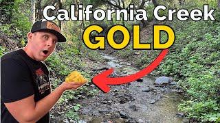 California Creek loaded with GOLD