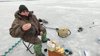 Зимняя рыбалка на Можайском водохранилище (д.Красновидово,17.03.21)