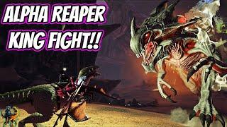 FINAL PREPERATIONS FOR ROCKWELL AND KILLING AN ALPHA REAPER KING!! || Ark Story Unmodded Ep 115!