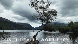 The Lonely Tree Llyn Padarn, Llanberis - Is It Worth It? *North Wales*