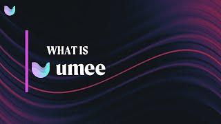 What is Umee? Explained In 90 Seconds