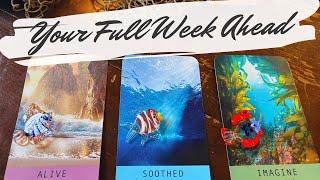 your in depth week ahead forecast  what will happen? Pick a Card