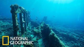 Морские глубины вместе с National Geographic Документальный фильм  National Geographic 2021 FULL HD