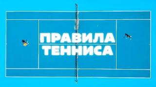 Правила тенниса: корт, ведение счёта, как играть | ВСЕМ ТЕННИС
