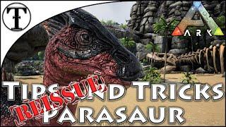 Fast Parasaur Taming Guide Reissue :: Ark : Survival Evolved Tips and Tricks