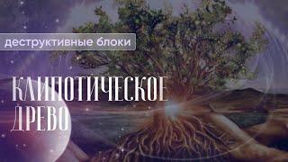 Клипотическое ДРЕВО. Деструктивные программы и блоки.