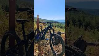 Yamaha makes E-bikes!?  Brand new YDX Moro 07 emtb