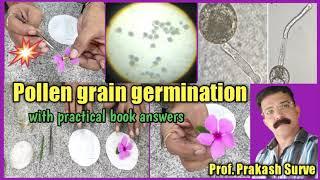 Pollen grain germination on slide ( live demonstration) -  By Prof. Prakash Surve