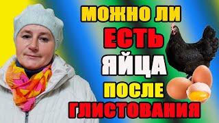 Можно ли есть яйца после глистования.