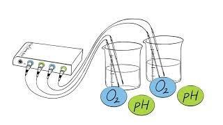 FireSting-PRO -- Fiber-Optic Meter for Oxygen, pH, and Temperature