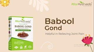 Attar Ayurveda Babul Gond Gum - Kikar Gond - Babool Gond - Acacia arabica Willd