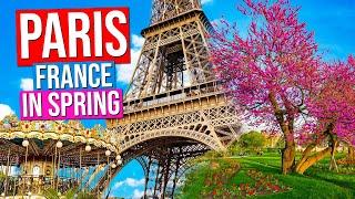 PARIS - FRANCE City Tour [Spring] | Paris in Springtime