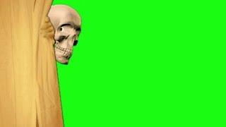 Green Screen Skeleton peering out from  opening curtain