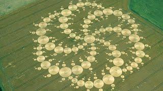 Crop Circles: Temporary Temples | Ep 159 | IN TOO DEEP Podcast