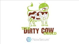 Exploiting Dirty COW on Android without root