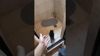 Bañando un mapache