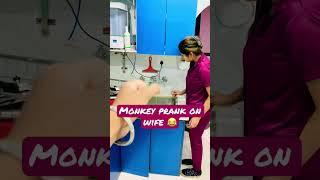 Prank on wife | wife ko baanya Monkey  #prank #sho#funny #comedy #couplegoals #prankonwife