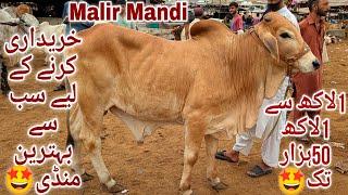 Malir Mandi Karachi Cattle Rates Update 19 Dec 2024 | Malir Mandi Latest Update | Cow Mandi 2025