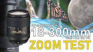 Zoom Test: AF-S DX Nikkor 18-300mm f/3.5-6.3G ED VR