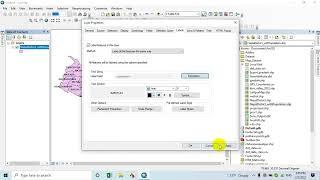 Display multiple labels in map layer in ArcGIS