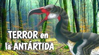 Cuando la ANTÁRTIDA era un infierno #Aves del Terror 