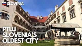 [Day 2 morning] Ptuj – Slovenia's Oldest City: Things to Do & Is It Worth a Stop?