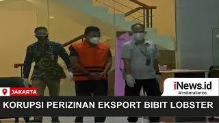 Menteri KKP Tersandung Kasus Dugaan Korupsi Benih Lobster